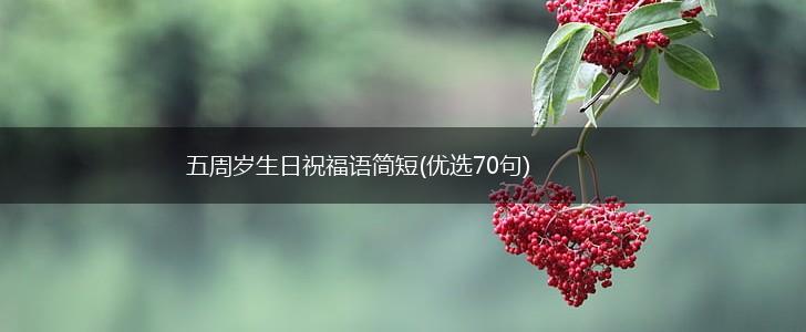 五周岁生日祝福语简短(优选70句),第1张