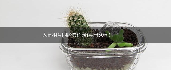 人是相互的经典语录(实用50句),第1张