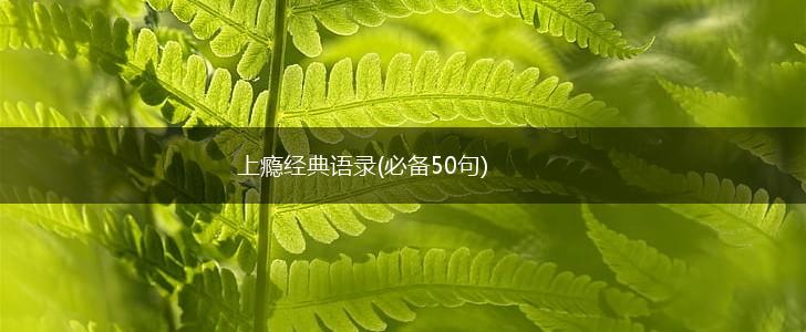 上瘾经典语录(必备50句),第1张