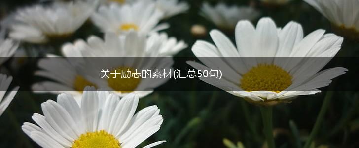 关于励志的素材(汇总50句),第1张