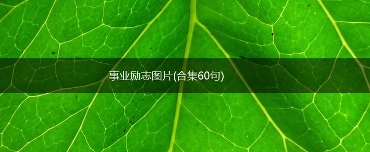 事业励志图片(合集60句),第1张