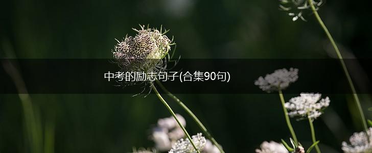 中考的励志句子(合集90句),第1张