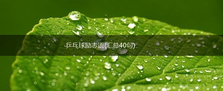 乒乓球励志语(汇总40句),第1张