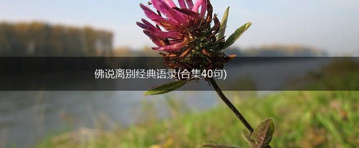 佛说离别经典语录(合集40句),第1张