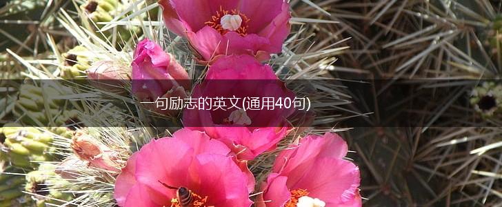 一句励志的英文(通用40句),第1张