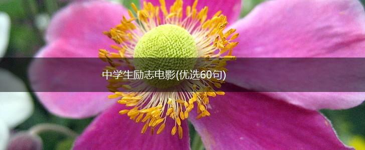 中学生励志电影(优选60句),第1张
