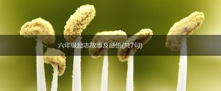 六年级励志故事及感悟(共7句),第1张