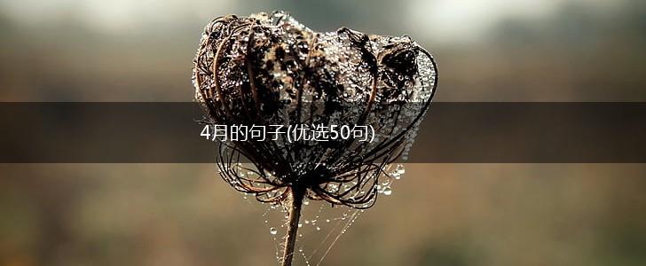 4月的句子(优选50句),第1张