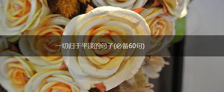 一切归于平淡的句子(必备60句),第1张