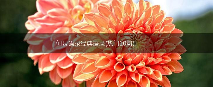 何炅语录经典语录(热门10句),第1张