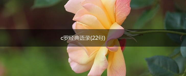 c罗经典语录(22句),第1张