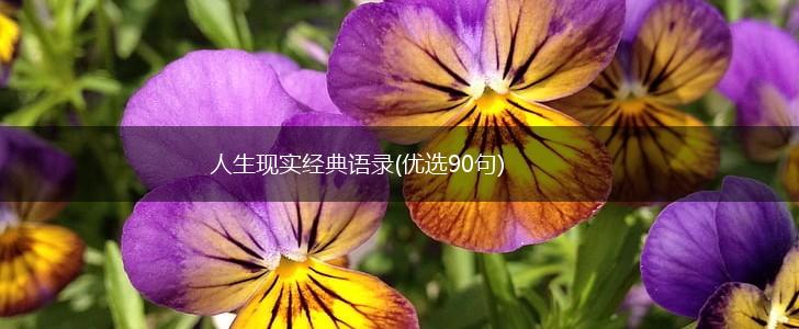 人生现实经典语录(优选90句),第1张