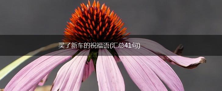 买了新车的祝福语(汇总41句),第1张