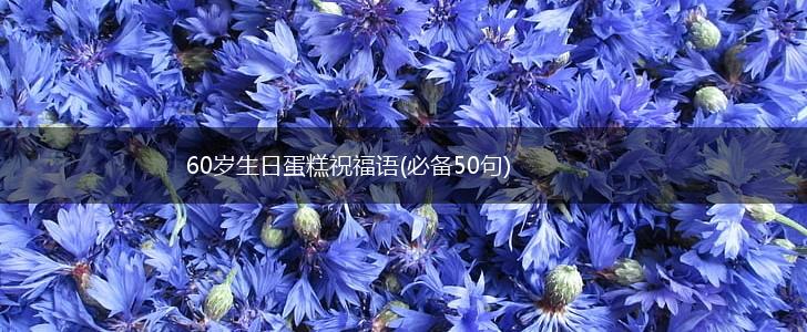 60岁生日蛋糕祝福语(必备50句),第1张