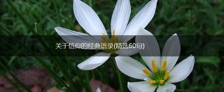 关于信仰的经典语录(精选60句),第1张