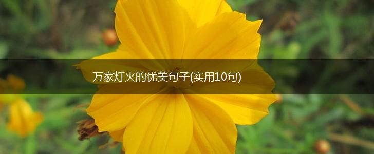 万家灯火的优美句子(实用10句),第1张