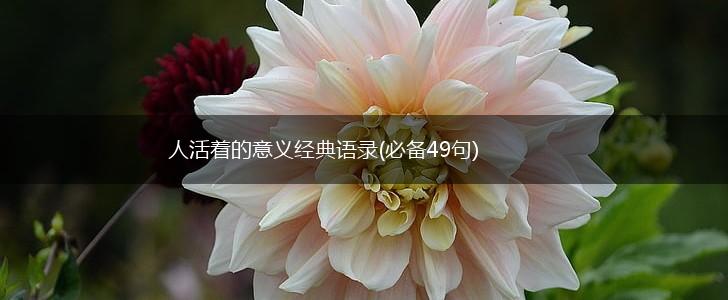 人活着的意义经典语录(必备49句),第1张