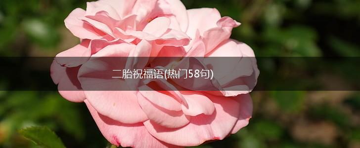二胎祝福语(热门58句),第1张