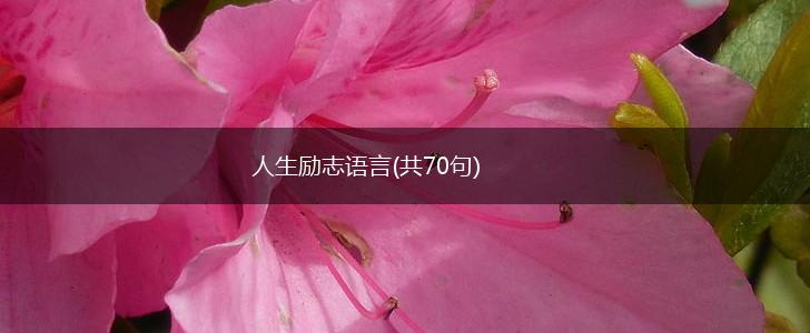 人生励志语言(共70句),第1张