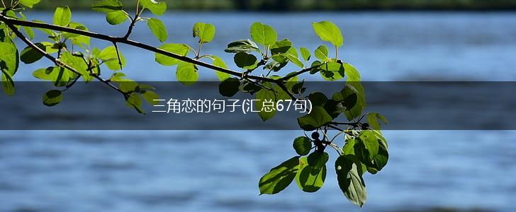 三角恋的句子(汇总67句),第1张
