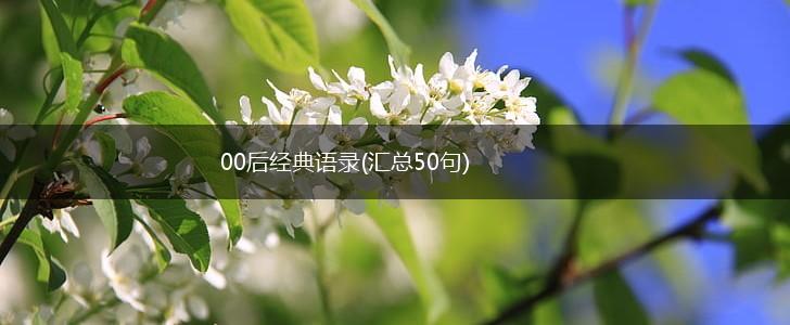 00后经典语录(汇总50句),第1张