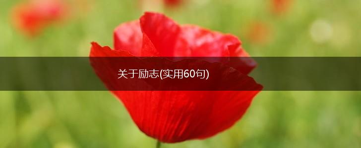 关于励志(实用60句),第1张