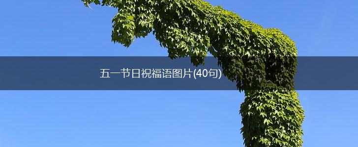 五一节日祝福语图片(40句),第1张