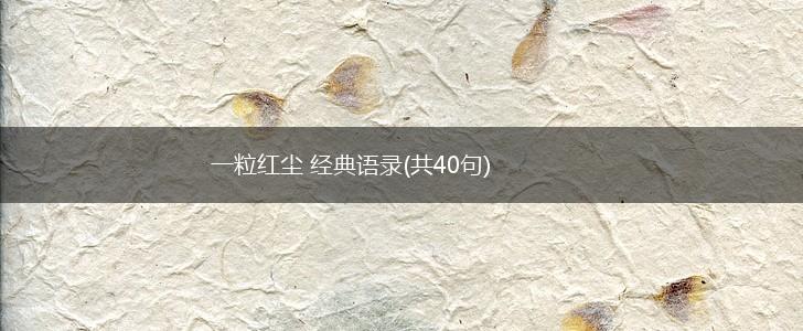 一粒红尘 经典语录(共40句),第1张