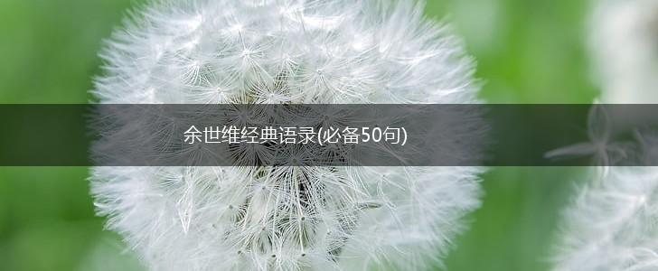 余世维经典语录(必备50句),第1张