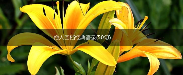 俗人回档经典语录(50句),第1张