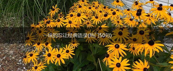 一味的忍让经典语录(热门50句),第1张