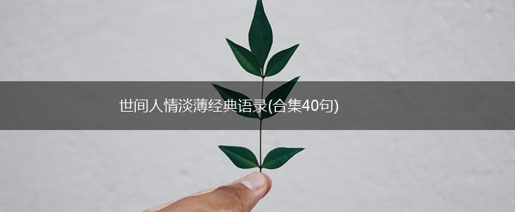 世间人情淡薄经典语录(合集40句),第1张