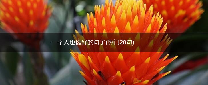 一个人也挺好的句子(热门20句),第1张