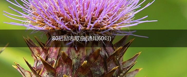 80后励志歌曲(通用60句),第1张