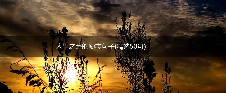 人生之路的励志句子(精选50句),第1张