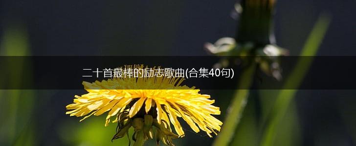 二十首最棒的励志歌曲(合集40句),第1张