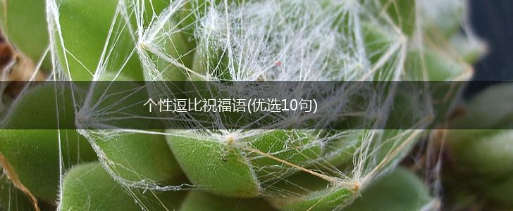 个性逗比祝福语(优选10句),第1张