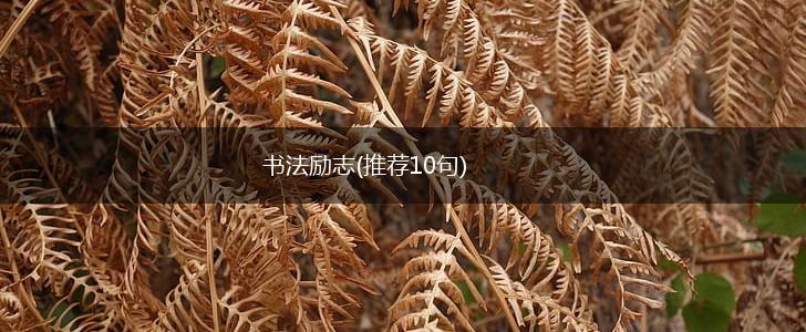 书法励志(推荐10句),第1张
