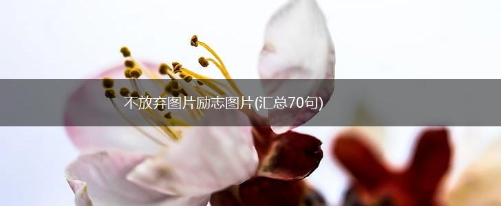 不放弃图片励志图片(汇总70句),第1张