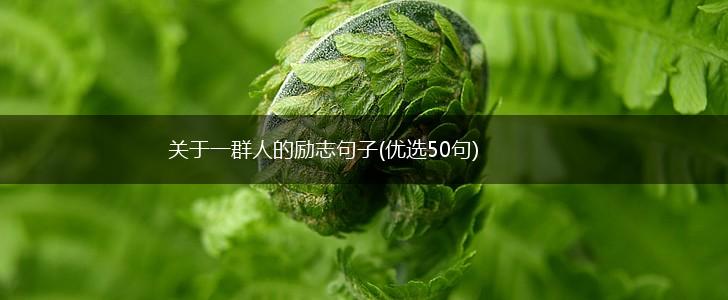关于一群人的励志句子(优选50句),第1张