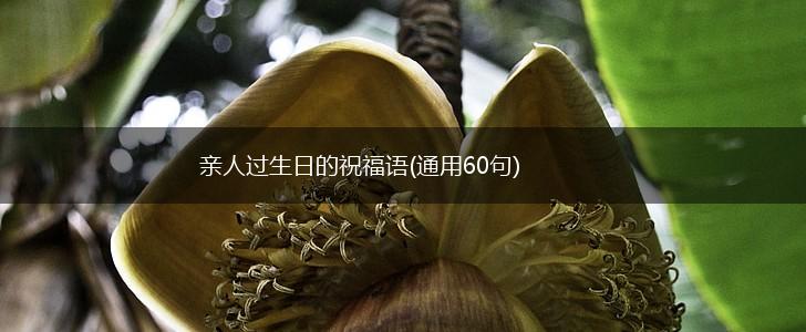 亲人过生日的祝福语(通用60句),第1张