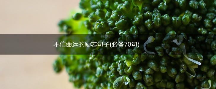 不信命运的励志句子(必备70句),第1张