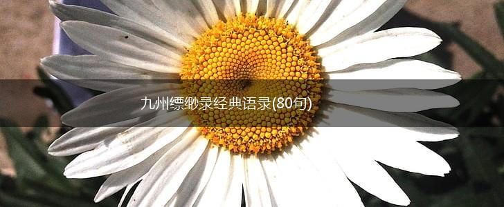 九州缥缈录经典语录(80句),第1张