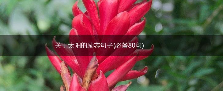 关于太阳的励志句子(必备80句),第1张