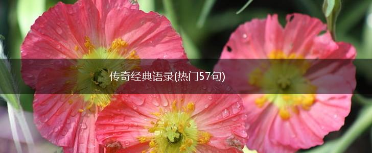传奇经典语录(热门57句),第1张