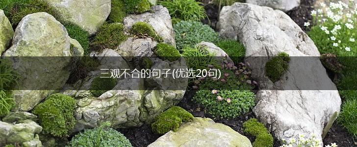 三观不合的句子(优选20句),第1张
