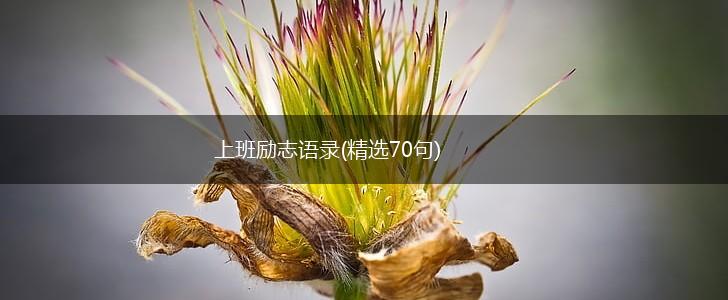 上班励志语录(精选70句),第1张