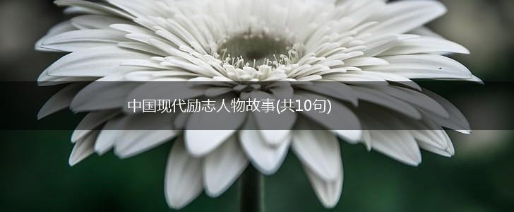 中国现代励志人物故事(共10句),第1张