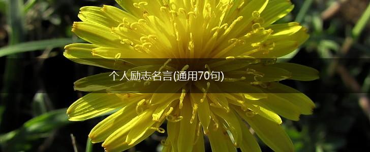 个人励志名言(通用70句),第1张