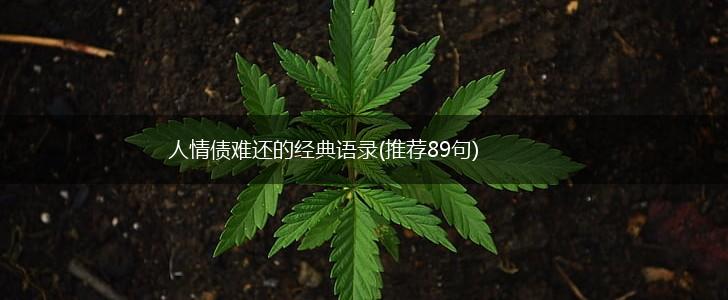 人情债难还的经典语录(推荐89句),第1张